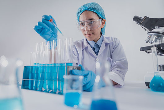 Research and customization services
